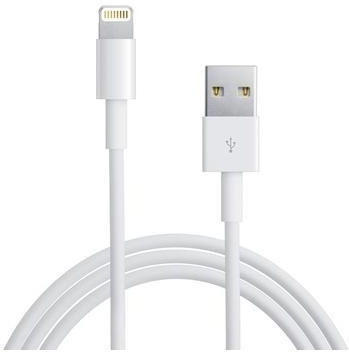 Cargador para coche iPhone X + Cable Apple Lightning - Original