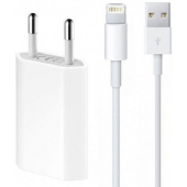 Cargador Apple iPad Air Lightning 2 metros - 5 Vatios