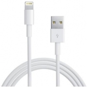 iPad Air Cable de datos Lightning 1 metro - Original